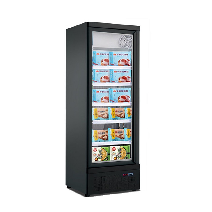 Upright Showcase Glass Door Freezer with Wheels Commercial Showcase Refrigeration Frozen Food Fridge