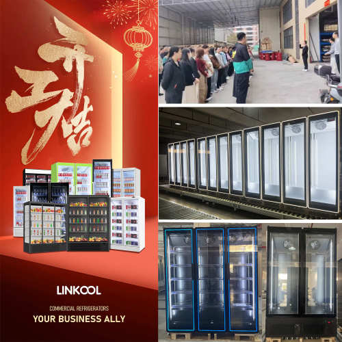 LINKOOL Resumes Work for the New Year – Ready for a Successful Year Ahead