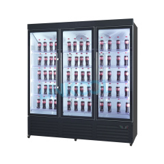 Double Door Hotel Bar Counter Beer Chiller Soft Drink Cooler Commercial Upright Refrigerator