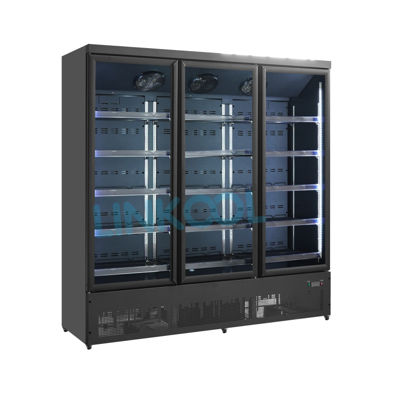 Double Door Hotel Bar Counter Beer Chiller Soft Drink Cooler Commercial Upright Refrigerator