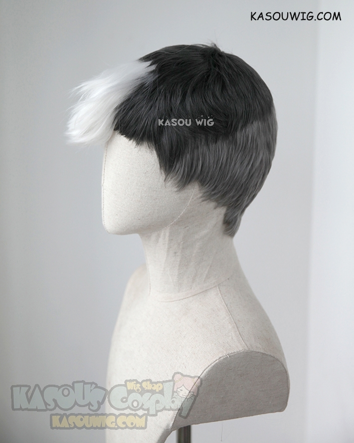 shiro wig