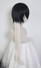 60cm straight clip-in extension SP01-SP40