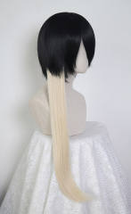 60cm straight clip-in extension SP01-SP40