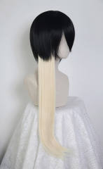 60cm straight clip-in extension SP01-SP40