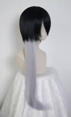 60cm straight clip-in extension SP01-SP40