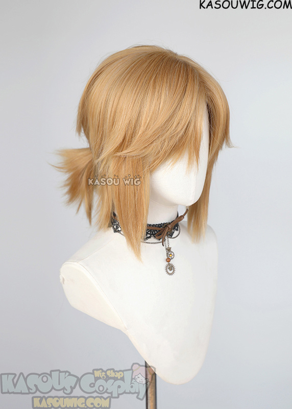 Legend of Zelda Tears of the Kingdom Link half up ponytail wig