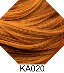 KA020