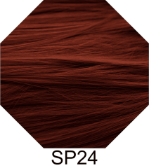 SP24