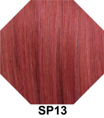 SP13