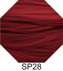 SP28
