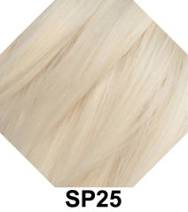 SP25