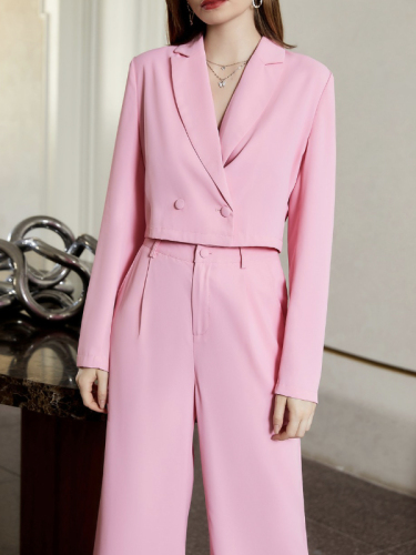 OMONSIN Wholesale Women Autumn and Winter Long Sleeve Sets Fashion Casual Button Long Pant Two Piece Outfits for Pink