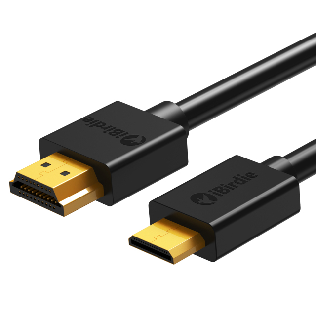 Mini HDMI