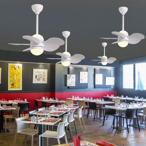Ceiling Fans with Lighting white- 23 Inch Small Ceiling Fan with Light and Remote Control, Memory Function and Dimmable