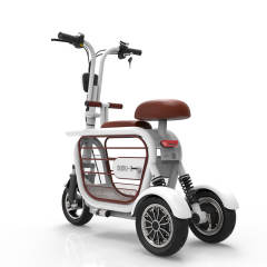 Yidi New Style Electric Tricycles Parent-child Scooter Pet Electric Bicycle