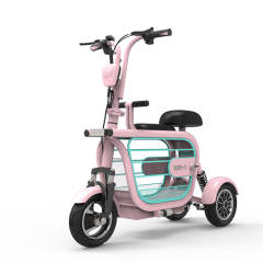 Yidi New Style Electric Tricycles Parent-child Scooter Pet Electric Bicycle