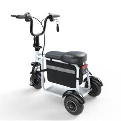 YIDI Electric Trike Folding Mini Electric Tricycle 350W 48V