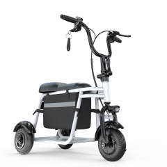 YIDI Electric Trike Folding Mini Electric Tricycle 350W 48V