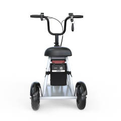 YIDI Electric Trike Folding Mini Electric Tricycle 350W 48V