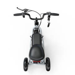 YIDI Electric Trike Folding Mini Electric Tricycle 350W 48V