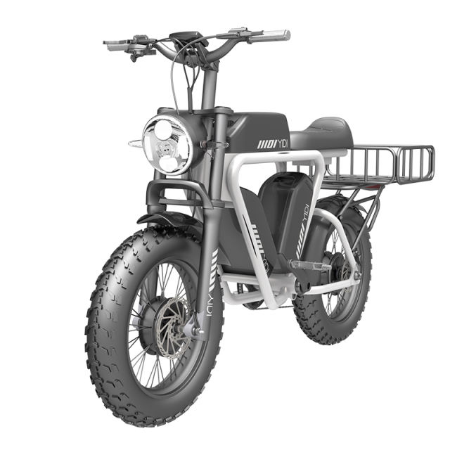 Shimano Thumb Shifter  Ebike,5 Gear 7 Speed Electric Bike, 3 Set Battery Long Driving Rang Electric Motorcycle