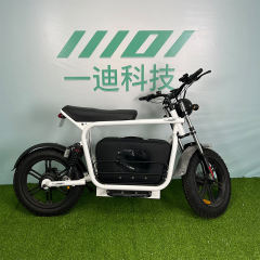 All Weather Hunting New Style Electric Motorcycle 60KM/H Tubeless Tire Electric Scooter