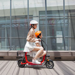 Yidi OEM Electric Bicycle 48v Lithium Battery Foldable Electric Bike With Child Seat And Basket