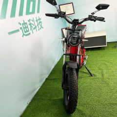 YIDI New Design D73 20Inch 750w 1000w 2000w Fat Tire Electric Bike 20 Inch Bicycle Dual Motor Electric Vehicle,Electric Mountain Bike