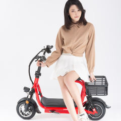 Yidi OEM Electric Bicycle 48v Lithium Battery Foldable Electric Bike With Child Seat And Basket