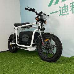 All Weather Hunting New Style Electric Motorcycle 60KM/H Tubeless Tire Electric Scooter