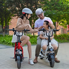 Yidi OEM Electric Bicycle 48v Lithium Battery Foldable Electric Bike With Child Seat And Basket