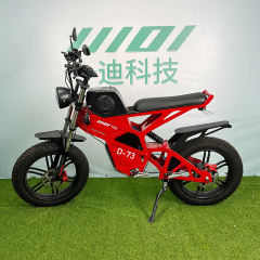 YIDI New Design D73 20Inch 750w 1000w 2000w Fat Tire Electric Bike 20 Inch Bicycle Dual Motor Electric Vehicle,Electric Mountain Bike