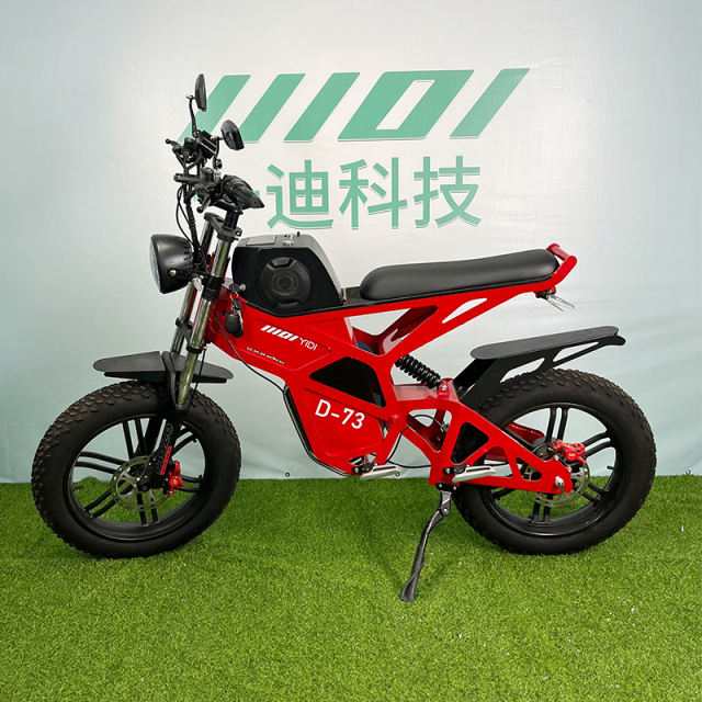 YIDI New Design D73 20Inch 750w 1000w 2000w Fat Tire Electric Bike 20 Inch Bicycle Dual Motor Electric Vehicle,Electric Mountain Bike