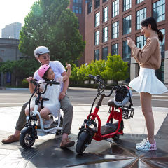 Yidi OEM Electric Bicycle 48v Lithium Battery Foldable Electric Bike With Child Seat And Basket