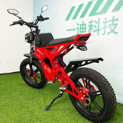 YIDI New Design D73 20Inch 750w 1000w 2000w Fat Tire Electric Bike 20 Inch Bicycle Dual Motor Electric Vehicle,Electric Mountain Bike