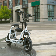 Yidi OEM Electric Bicycle 48v Lithium Battery Foldable Electric Bike With Child Seat And Basket