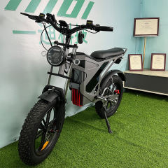 YIDI Manufacture 750W 1500W Height Speed Electric Fat Tire Bike Electric Motocycle
