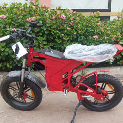 YIDI Manufacture 750W 1500W Height Speed Electric Fat Tire Bike Electric Motocycle