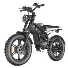 Innovative New Models Hydraulic Disc Brake Moped Scooter Fat Tire Ebike Eelectric Mountain Bike