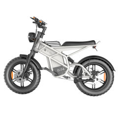Innovative New Models Hydraulic Disc Brake Moped Scooter Fat Tire Ebike Eelectric Mountain Bike