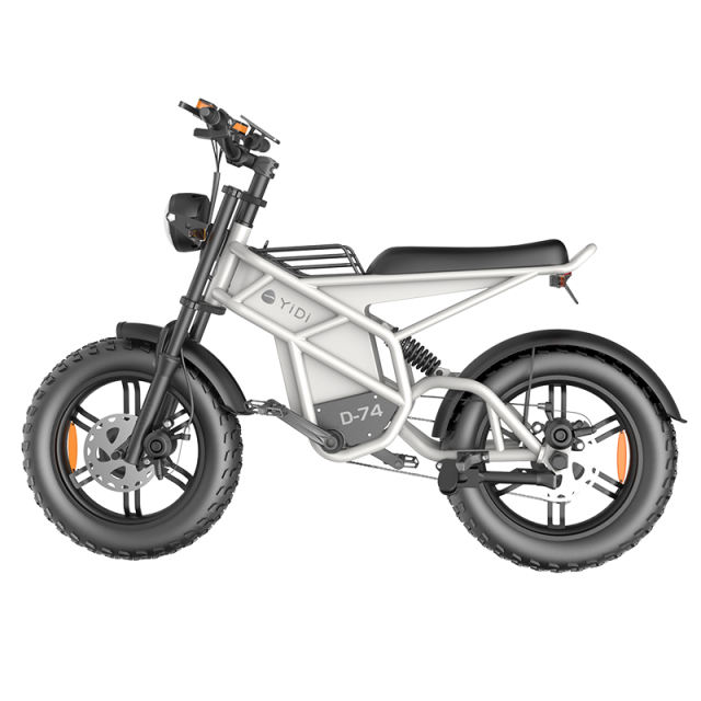 Innovative New Models Hydraulic Disc Brake Moped Scooter Fat Tire Ebike Eelectric Mountain Bike