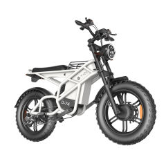 Innovative Fat Tire Electric Bike with Hydraulic Disc Brake – YIDI