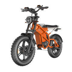 Innovative New Models Hydraulic Disc Brake Moped Scooter Fat Tire Ebike Eelectric Mountain Bike