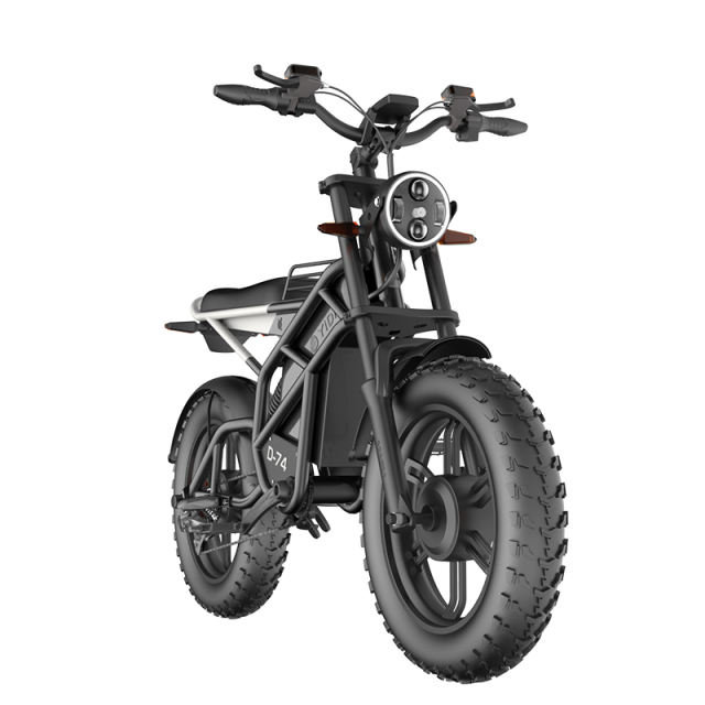 Innovative New Models Hydraulic Disc Brake Moped Scooter Fat Tire Ebike Eelectric Mountain Bike