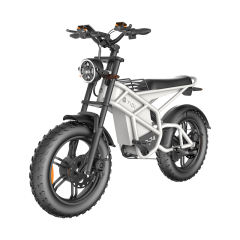 Innovative New Models Hydraulic Disc Brake Moped Scooter Fat Tire Ebike Eelectric Mountain Bike