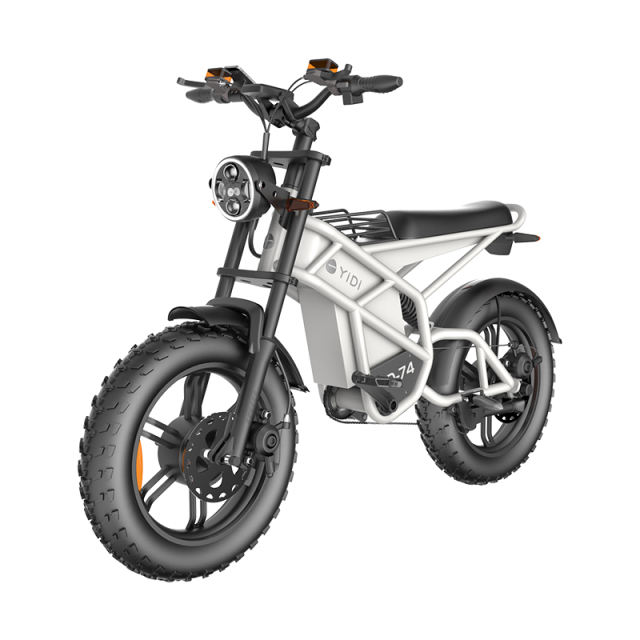 Innovative New Models Hydraulic Disc Brake Moped Scooter Fat Tire Ebike Eelectric Mountain Bike