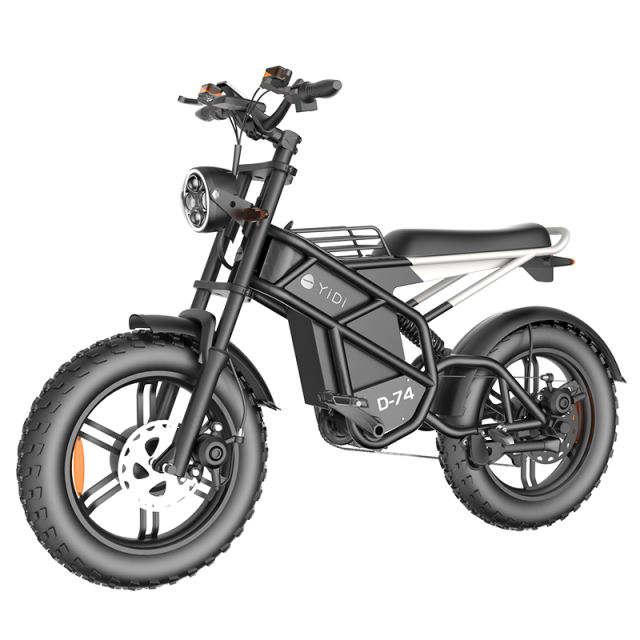 Innovative New Models Hydraulic Disc Brake Moped Scooter Fat Tire Ebike Eelectric Mountain Bike