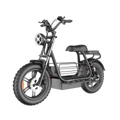 D10 Powerful 750w/1500w 20*4.0 Inch Big Wheel Electric Scooter Bike Fast Speed Long Rang Electric Mountain Bike
