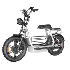 D10 Powerful 750w/1500w 20*4.0 Inch Big Wheel Electric Scooter Bike Fast Speed Long Rang Electric Mountain Bike