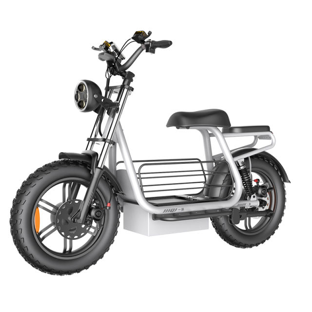 D10 Powerful 750w/1500w 20*4.0 Inch Big Wheel Electric Scooter Bike Fast Speed Long Rang Electric Mountain Bike